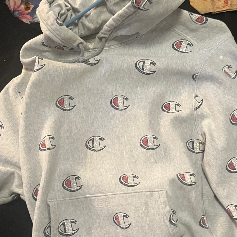 Champion Light Gray Hoodie with Logo Accents